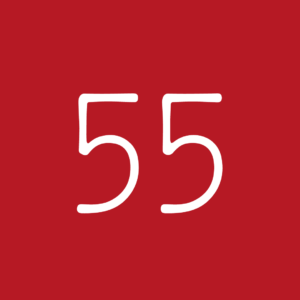 Fifty Five logo, seenaptic partner